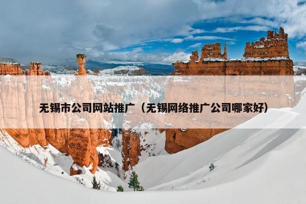 无锡市公司网站推广（无锡网络推广公司哪家好）