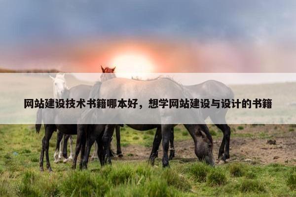 网站建设技术书籍哪本好，想学网站建设与设计的书籍