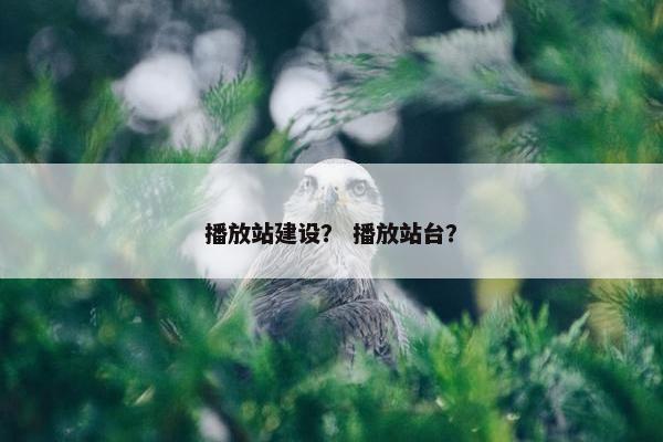 播放站建设？ 播放站台？
