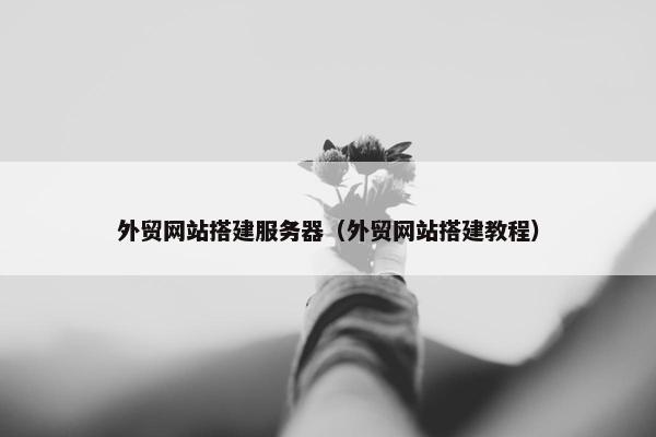 外贸网站搭建服务器（外贸网站搭建教程）