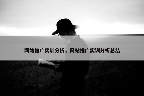 网站推广实训分析，网站推广实训分析总结