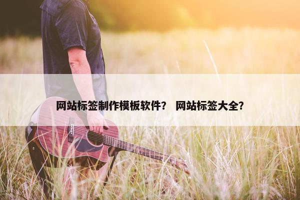 网站标签制作模板软件？ 网站标签大全？