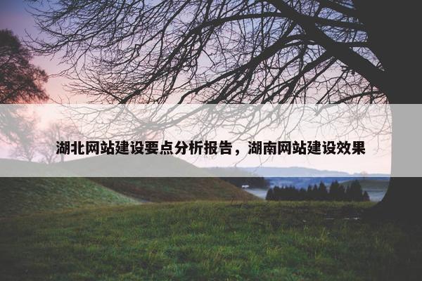 湖北网站建设要点分析报告，湖南网站建设效果