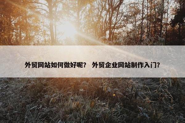 外贸网站如何做好呢？ 外贸企业网站制作入门？
