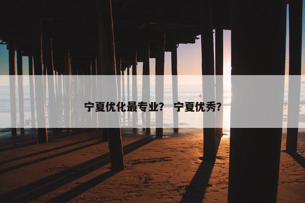 宁夏优化最专业？ 宁夏优秀？