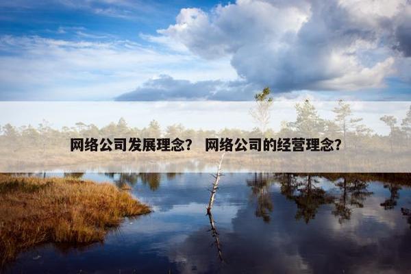 网络公司发展理念？ 网络公司的经营理念？