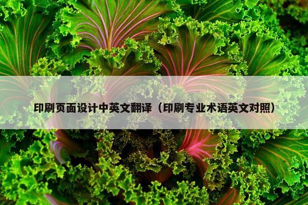 印刷页面设计中英文翻译（印刷专业术语英文对照）