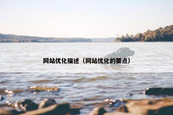 网站优化描述（网站优化的要点）