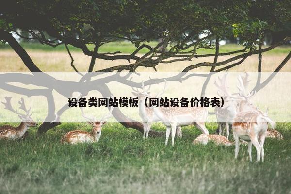 设备类网站模板（网站设备价格表）