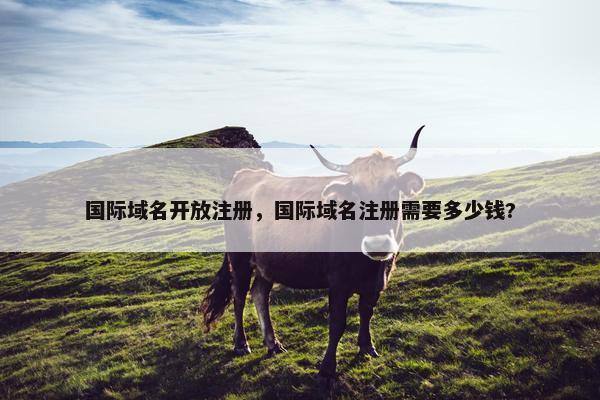 国际域名开放注册，国际域名注册需要多少钱?