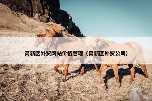 高新区外贸网站价格管理（高新区外贸公司）
