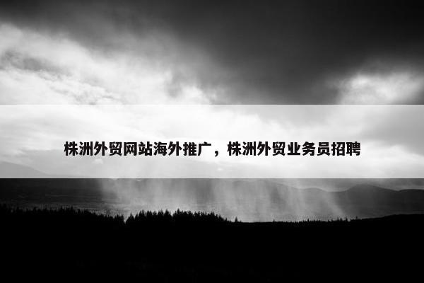 株洲外贸网站海外推广，株洲外贸业务员招聘