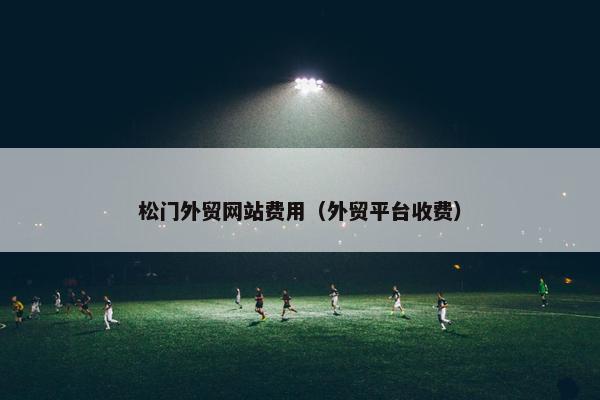 松门外贸网站费用（外贸平台收费）