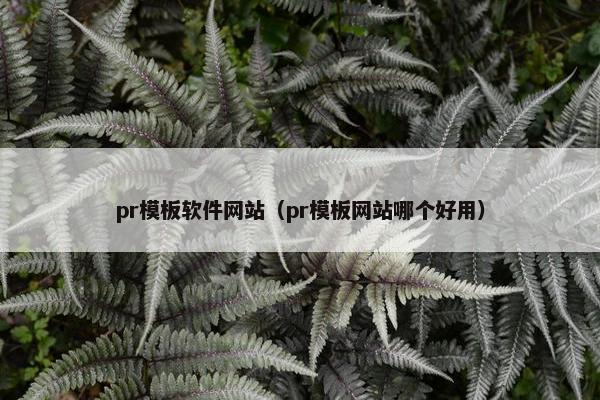 pr模板软件网站（pr模板网站哪个好用）