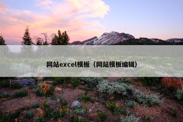 网站excel模板（网站模板编辑）