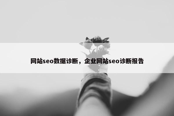 网站seo数据诊断，企业网站seo诊断报告