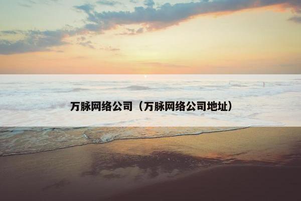 万脉网络公司（万脉网络公司地址）