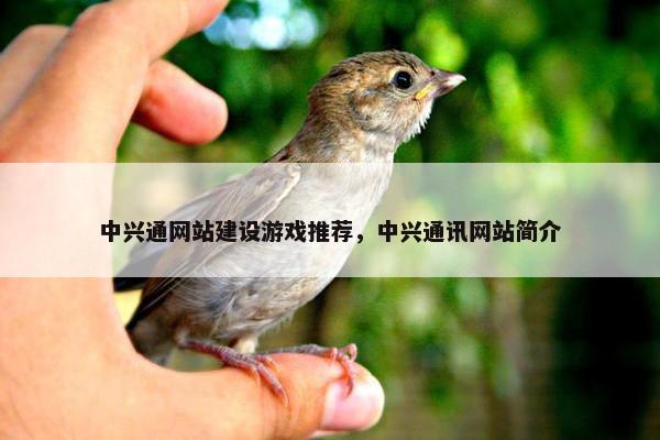 中兴通网站建设游戏推荐，中兴通讯网站简介