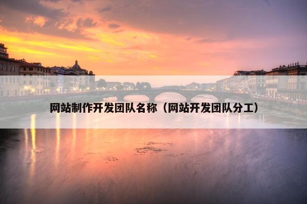 网站制作开发团队名称（网站开发团队分工）