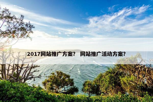 2017网站推广方案？ 网站推广活动方案？