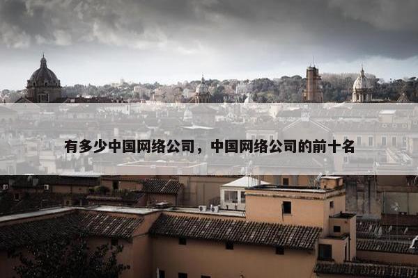 有多少中国网络公司，中国网络公司的前十名