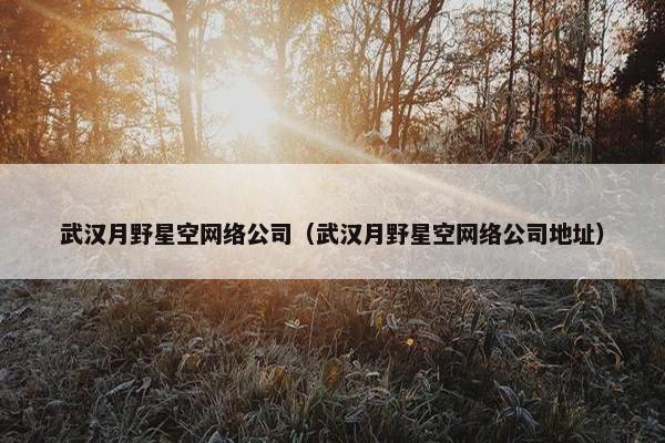 武汉月野星空网络公司（武汉月野星空网络公司地址）