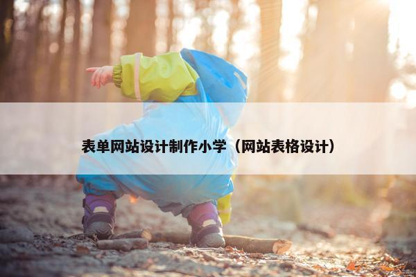 表单网站设计制作小学（网站表格设计）