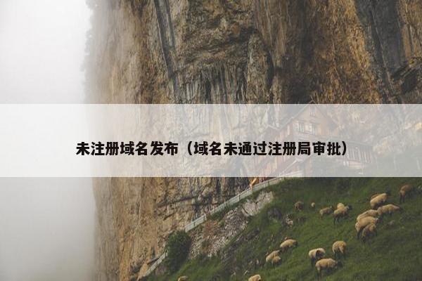 未注册域名发布（域名未通过注册局审批）