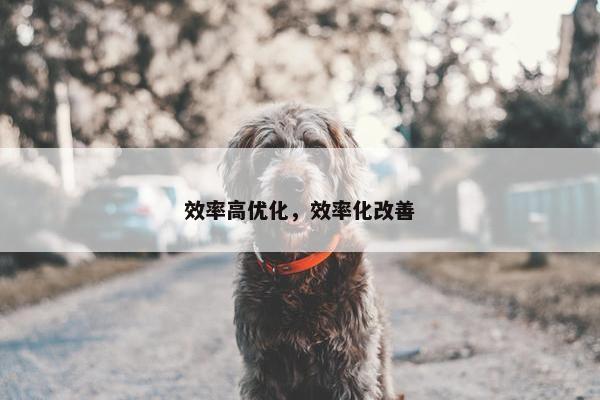 效率高优化，效率化改善