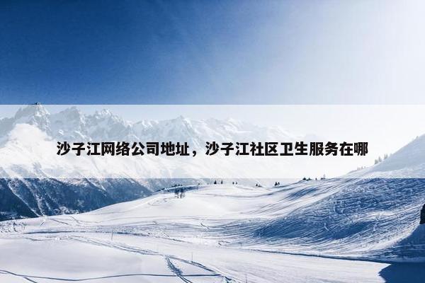 沙子江网络公司地址，沙子江社区卫生服务在哪