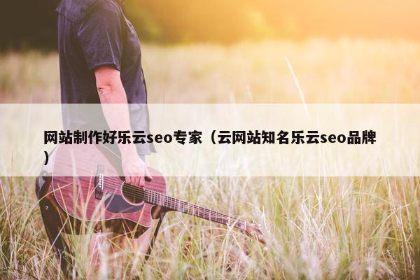 网站制作好乐云seo专家（云网站知名乐云seo品牌）