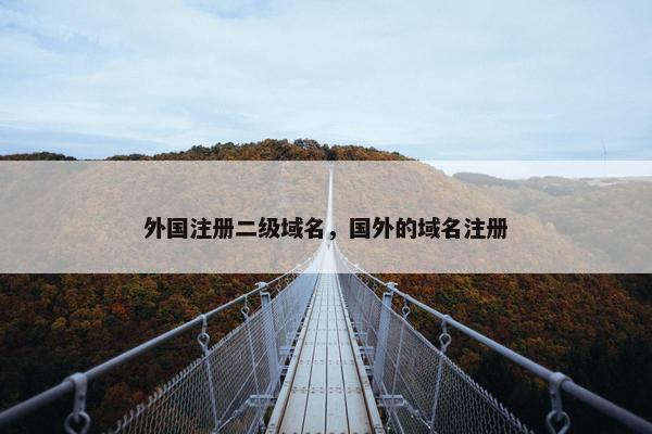 外国注册二级域名，国外的域名注册