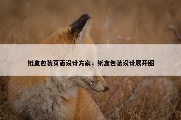 纸盒包装页面设计方案，纸盒包装设计展开图