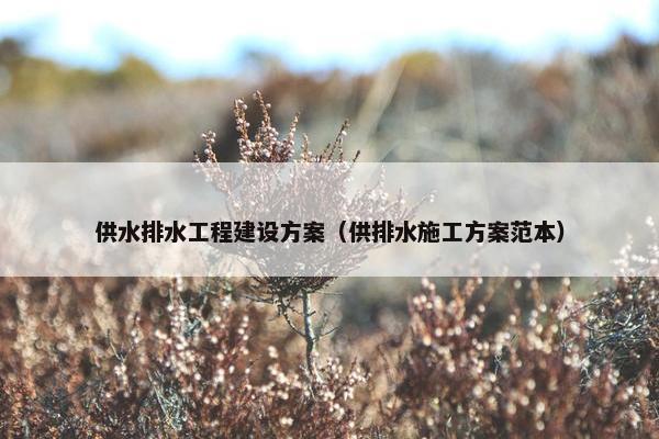 供水排水工程建设方案（供排水施工方案范本）
