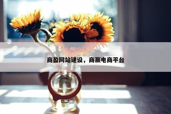 商盈网站建设，商赢电商平台