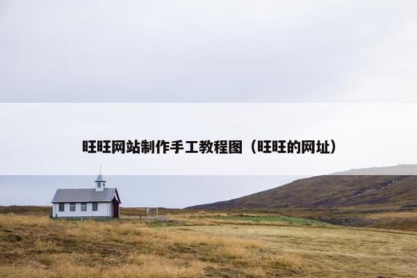 旺旺网站制作手工教程图（旺旺的网址）