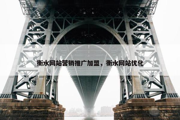 衡水网站营销推广加盟，衡水网站优化
