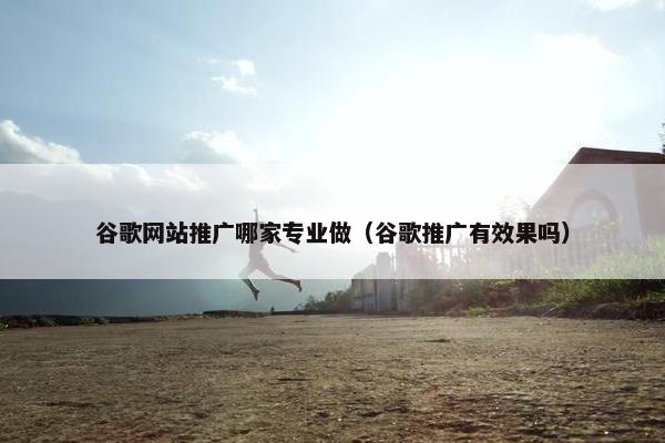 谷歌网站推广哪家专业做（谷歌推广有效果吗）