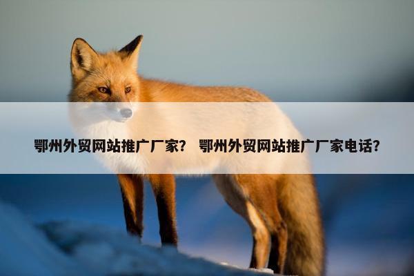 鄂州外贸网站推广厂家？ 鄂州外贸网站推广厂家电话？