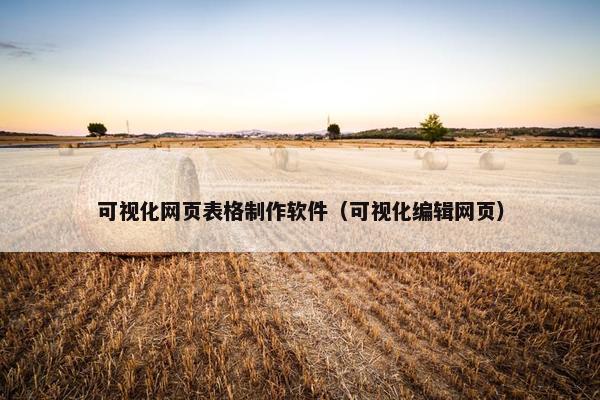 可视化网页表格制作软件（可视化编辑网页）