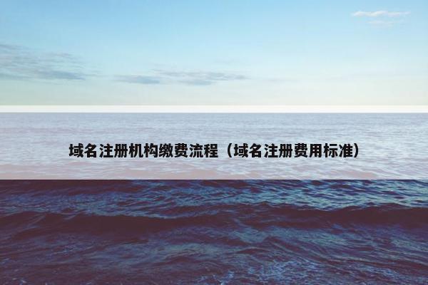 域名注册机构缴费流程（域名注册费用标准）