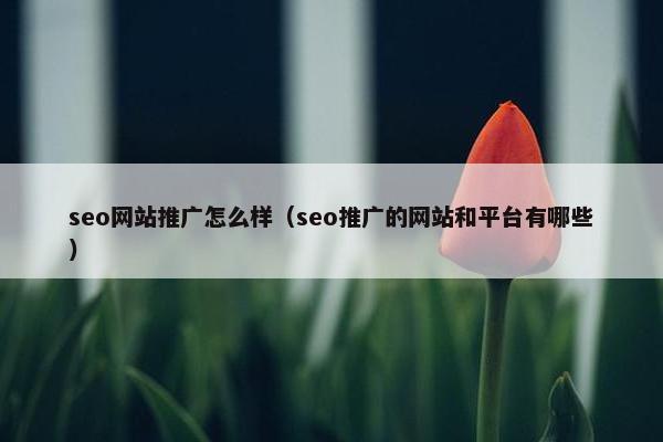 seo网站推广怎么样（seo推广的网站和平台有哪些）