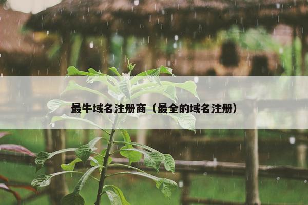 最牛域名注册商（最全的域名注册）
