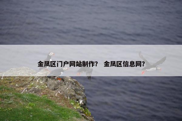 金凤区门户网站制作？ 金凤区信息网？