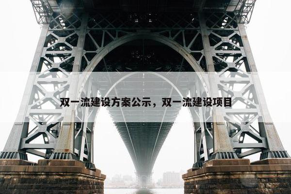 双一流建设方案公示，双一流建设项目