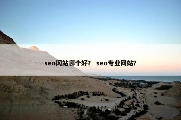 seo网站哪个好？ seo专业网站？