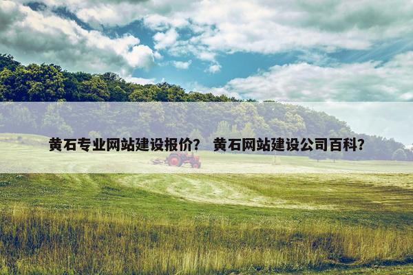 黄石专业网站建设报价？ 黄石网站建设公司百科？