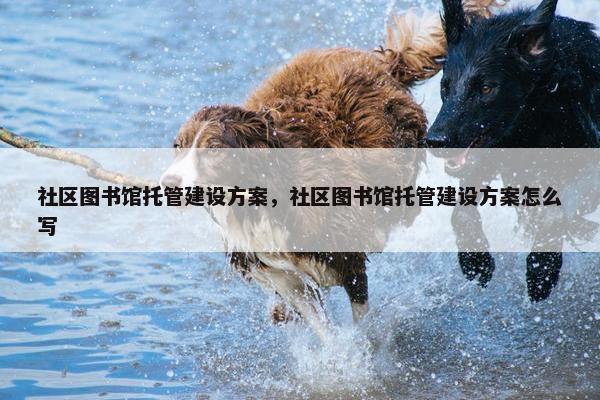 社区图书馆托管建设方案，社区图书馆托管建设方案怎么写