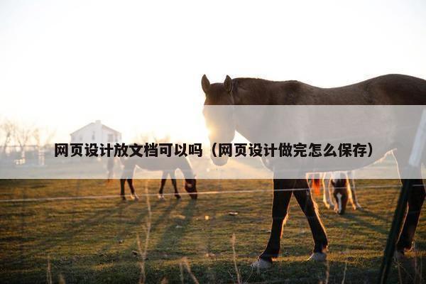 网页设计放文档可以吗（网页设计做完怎么保存）