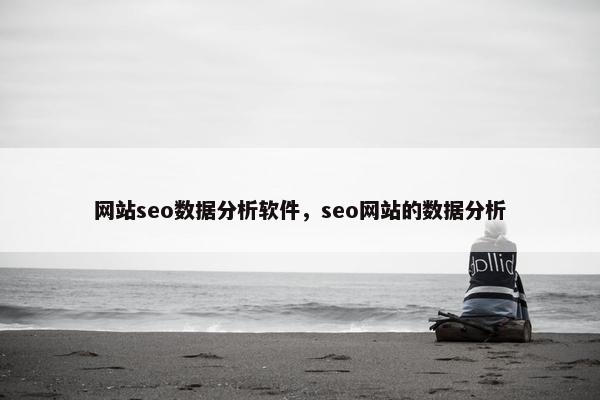 网站seo数据分析软件，seo网站的数据分析